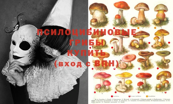 ешки Балабаново