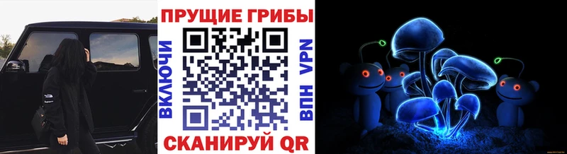 Псилоцибиновые грибы Cubensis  наркота  Новый Оскол 